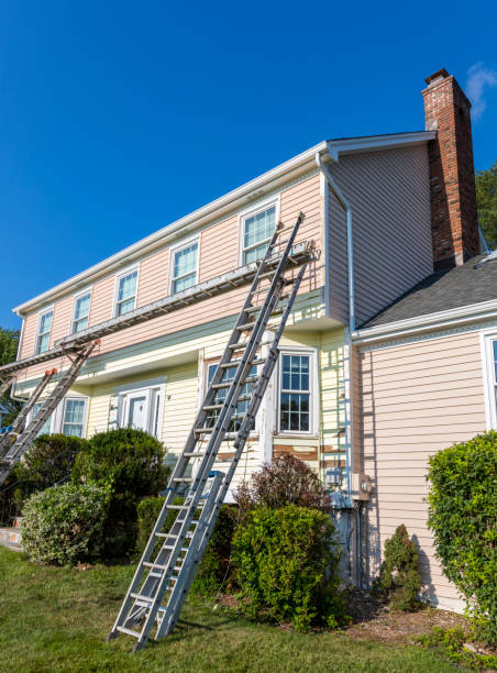 Best Residential Vinyl Siding Installation  in De Soto, IA