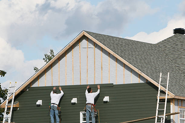 Best Historical Building Siding Restoration  in De Soto, IA